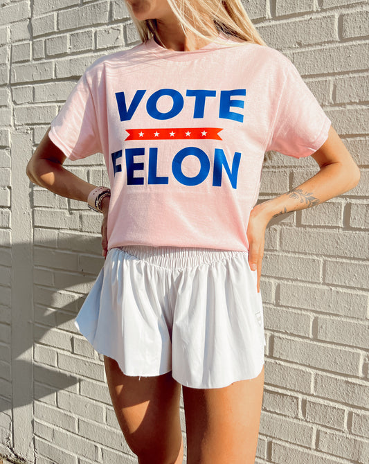 VOTE FELON